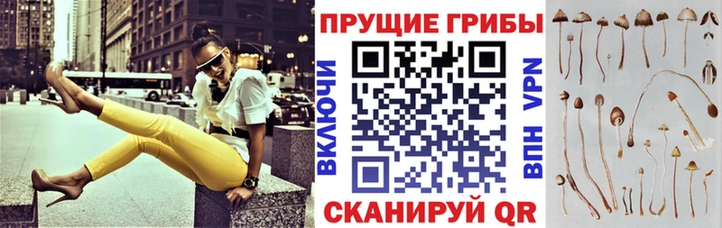 Псилоцибиновые грибы мицелий  Таганрог 