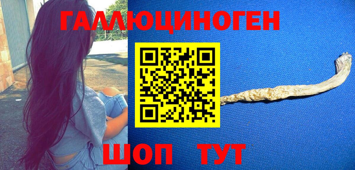 Конопля Таганрог