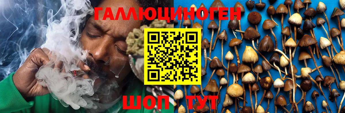 Псилоцибиновые грибы Psilocybe  Псилоцибиновые грибы Psilocybe  Таганрог  Вход с VPN 